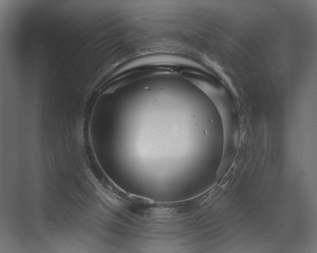 X0000073500154200607311301