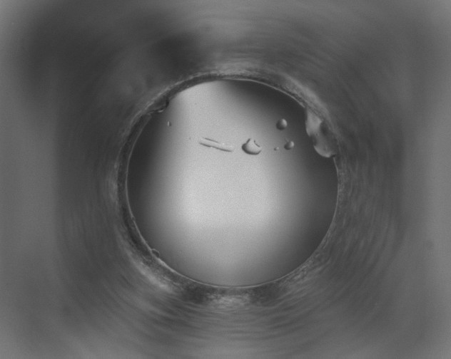 X0000073500155200607311301