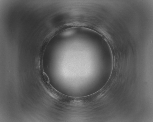 X0000073500157200607311301