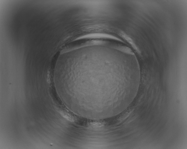 X0000073500161200607311302
