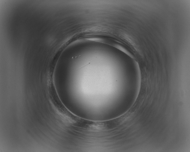 X0000073500164200607311302