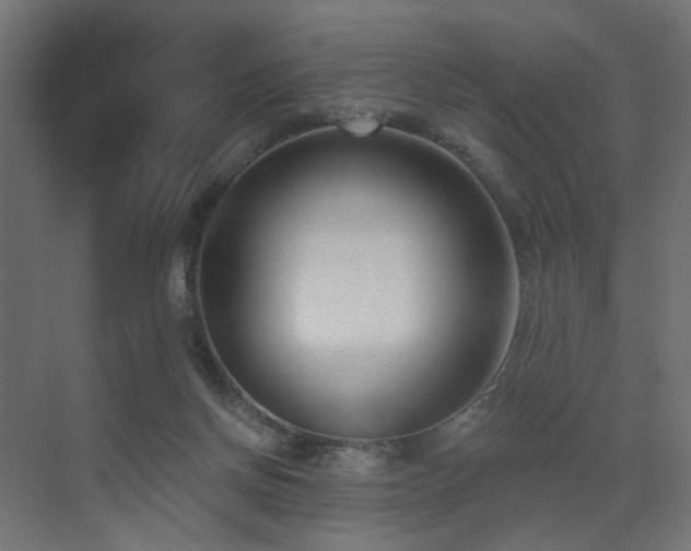X0000073500166200607311302