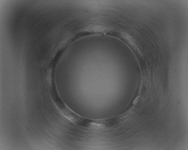 X0000073500167200607311302