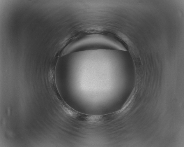 X0000073500192200607311302