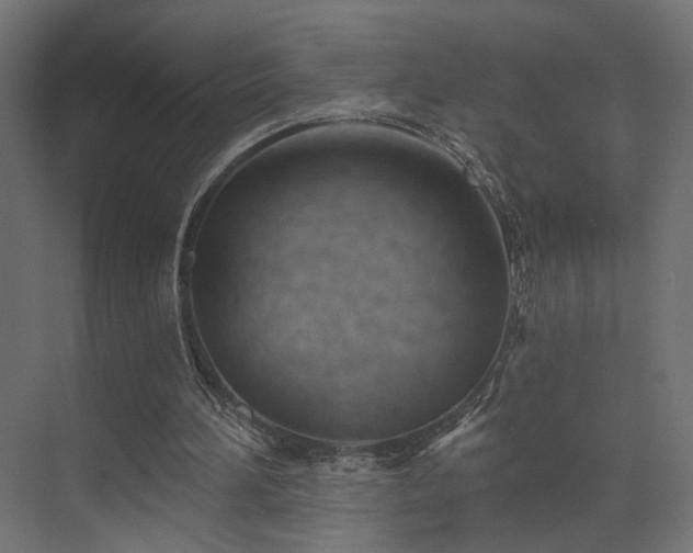 X0000073500196200607311301