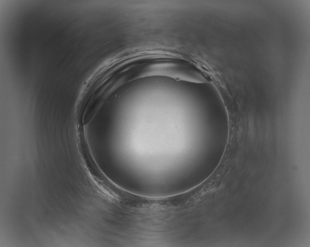 X0000073500197200607311301