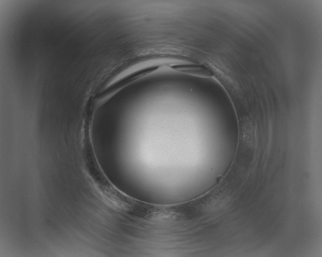 X0000073500206200607311301