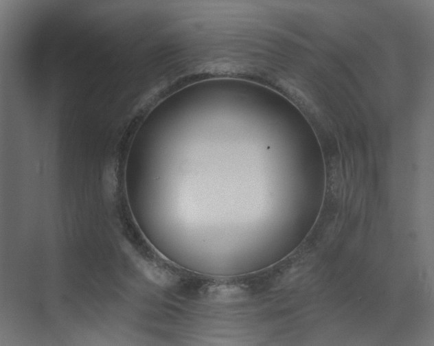 X0000073500208200607311301