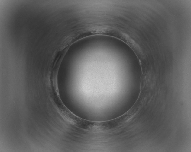 X0000073500209200607311301