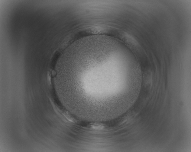 X0000073500214200607311301