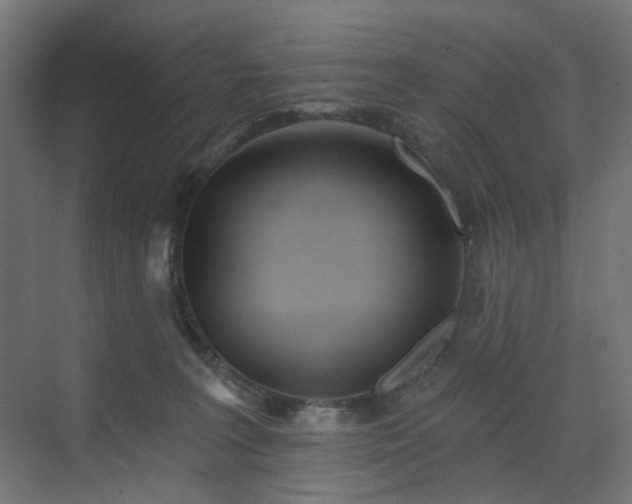 X0000073500227200607311301