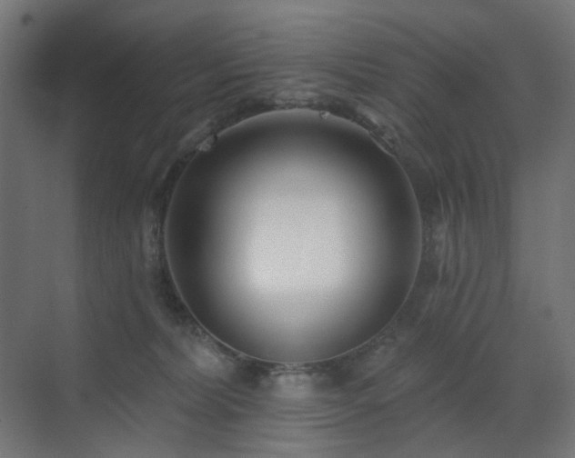 X0000073500228200607311301