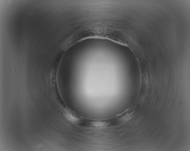 X0000073500233200607311301