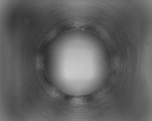 X0000073500236200607311301