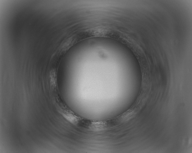X0000073500240200607311300