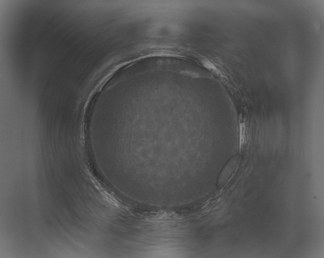X0000073500243200607311300