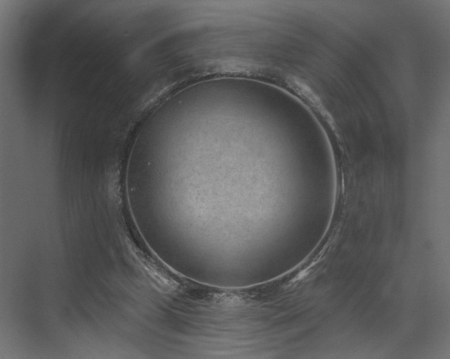 X0000073500249200607311300