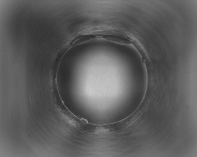 X0000073500257200607311300