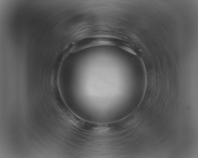X0000073500266200607311300