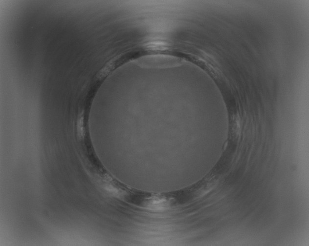 X0000073500267200607311300