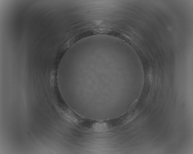 X0000073500271200607311300
