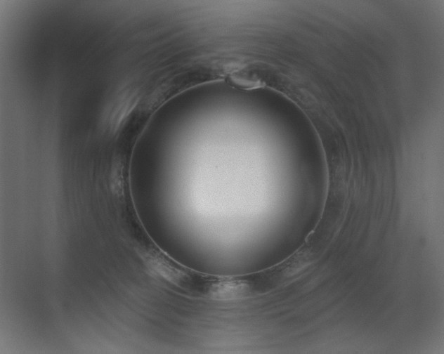 X0000073500274200607311300