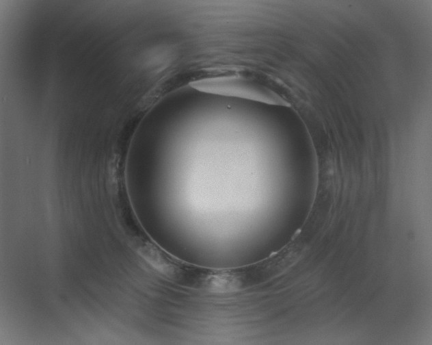 X0000073500275200607311300