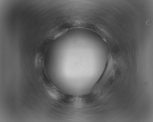 X0000073500276200607311300