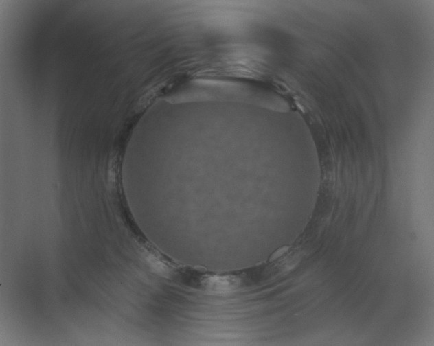 X0000073500277200607311300