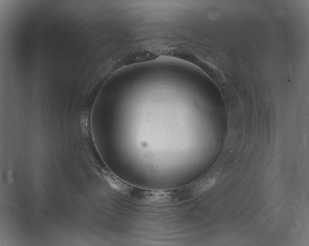 X0000073500288200607311300