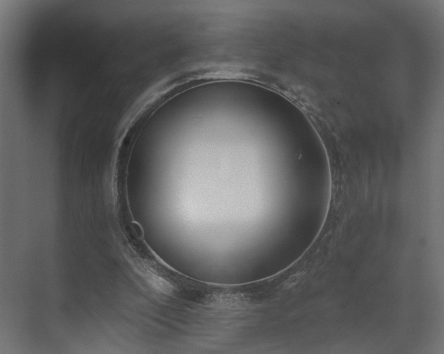 X0000073500296200607311300