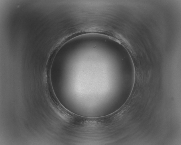 X0000073500298200607311259