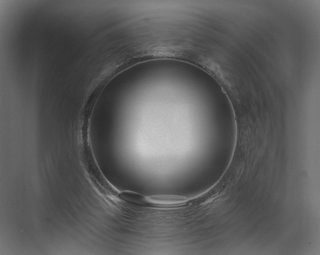 X0000073500299200607311259