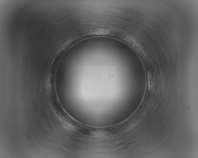 X0000073500300200607311259