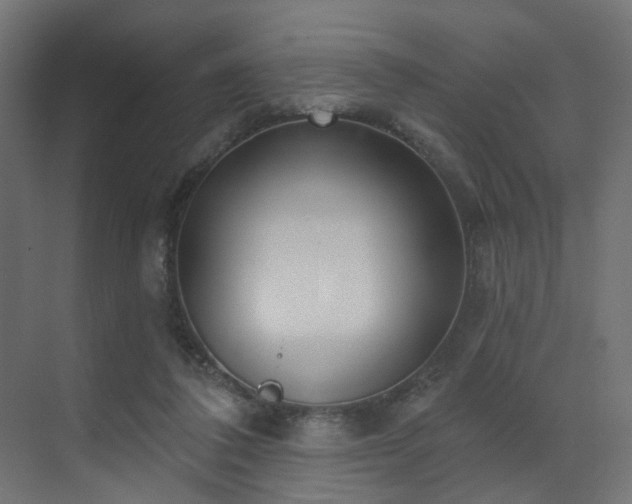 X0000073500308200607311259