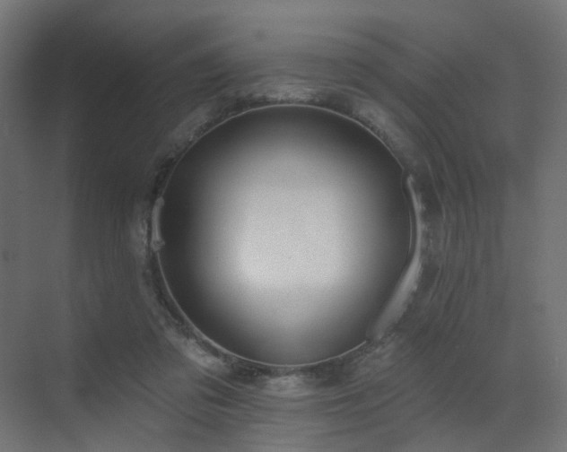 X0000073500309200607311259