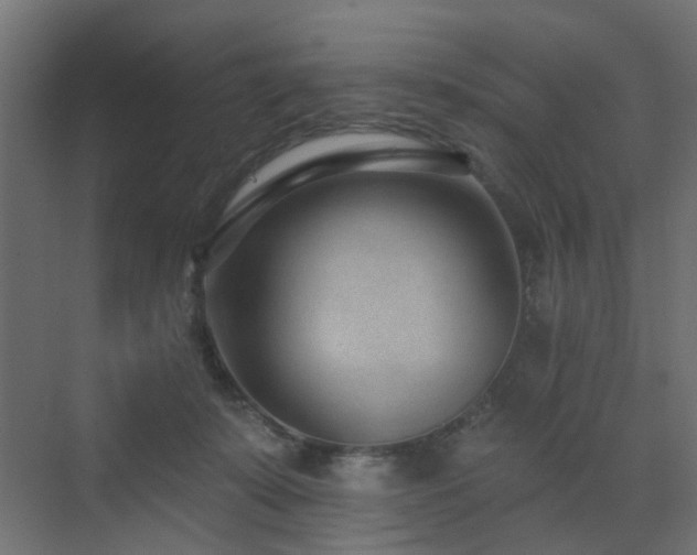 X0000073500319200607311259