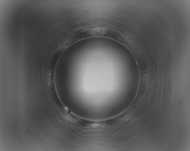 X0000073500323200607311259