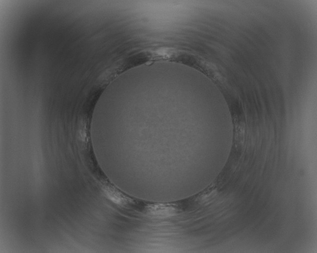 X0000073500331200607311259