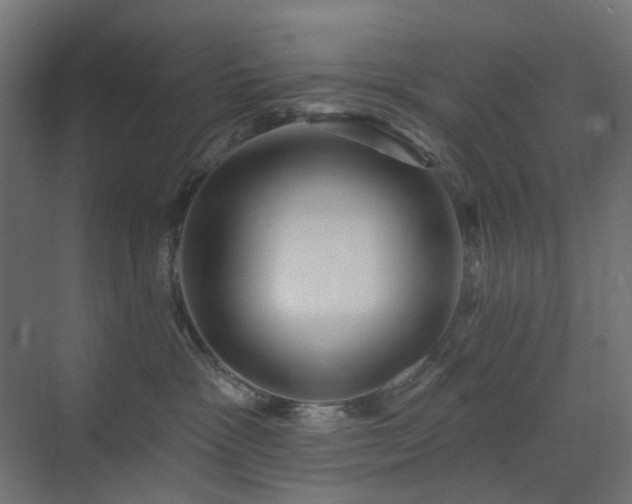 X0000073500333200607311259