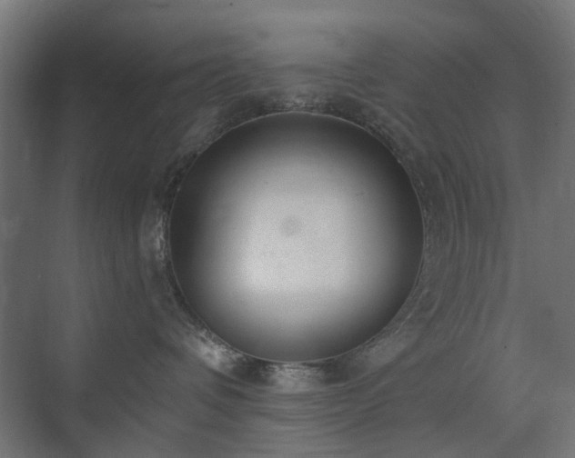 X0000073500336200607311259