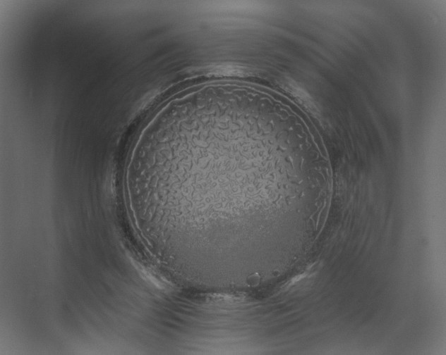 X0000073500347200607311258
