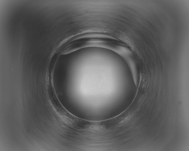 X0000073500348200607311258