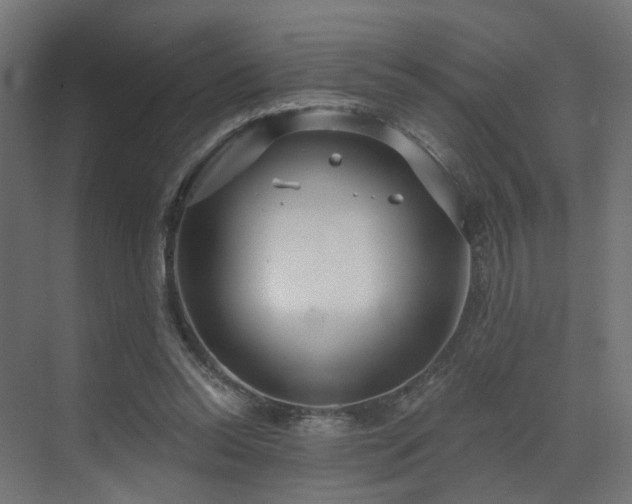 X0000073500350200607311258