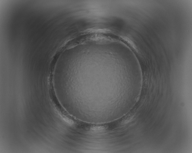 X0000073500357200607311258