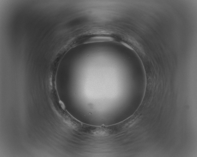 X0000073500358200607311258