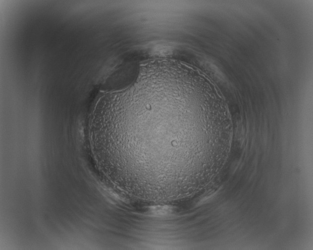 X0000073500363200607311258