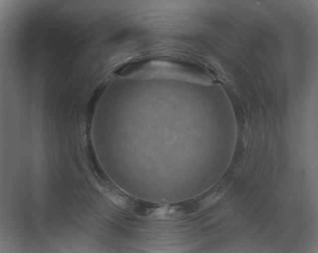 X0000073500366200607311259