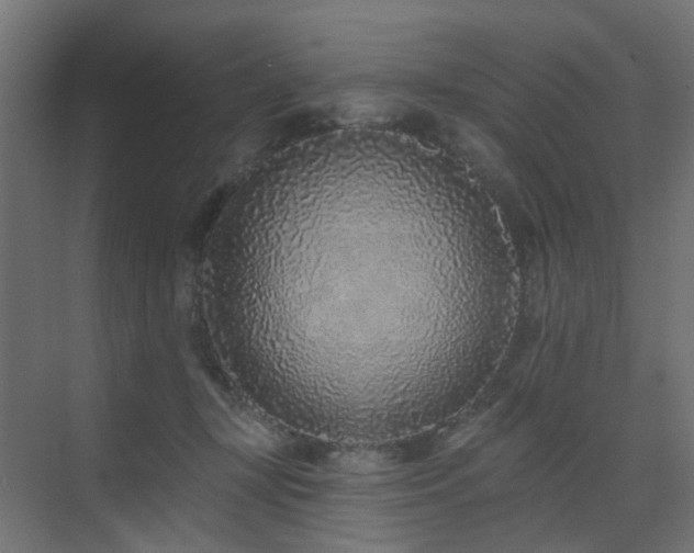 X0000073500367200607311259