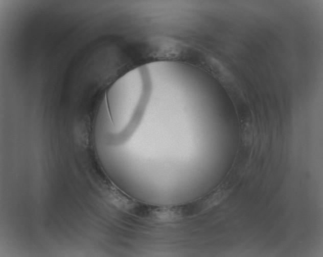 X0000073500370200607311259